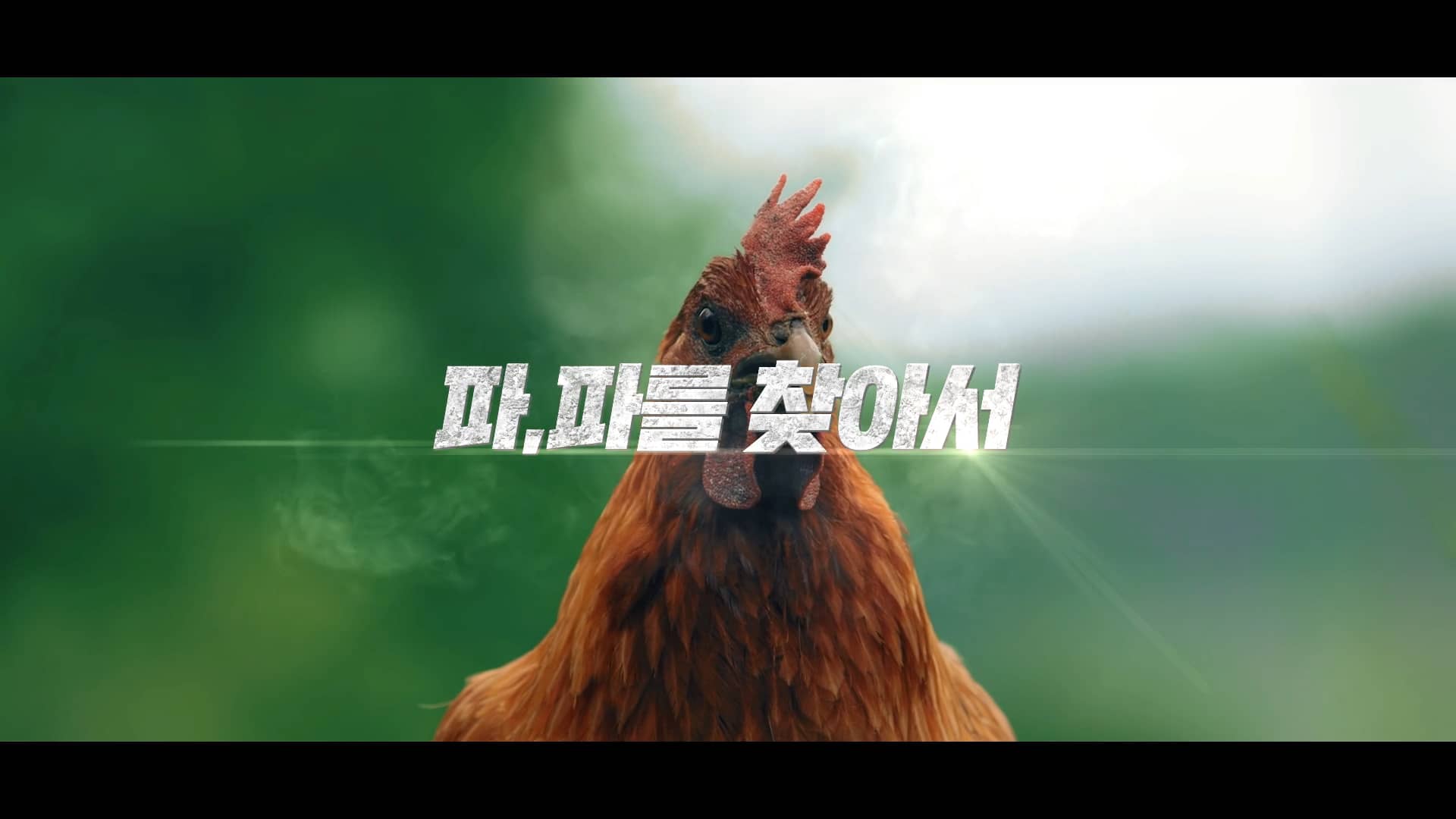 Free download [BC카드] 부자될라면 페이북 디지털 광고영상 video and edit with RedcoolMedia movie maker MovieStudio video editor online and AudioStudio audio editor onlin